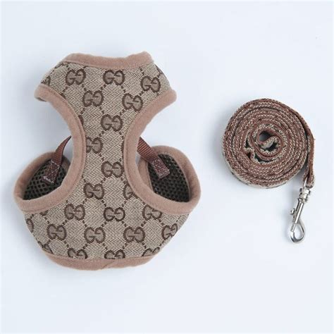 gucci dog harness and leash.